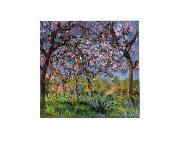 Claude Monet Printemps a Giverny oil painting